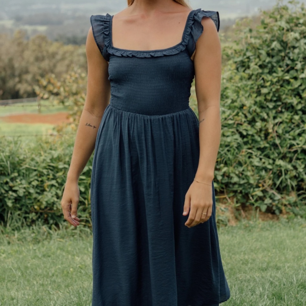 NWT Neuflora Swan Hill Dress